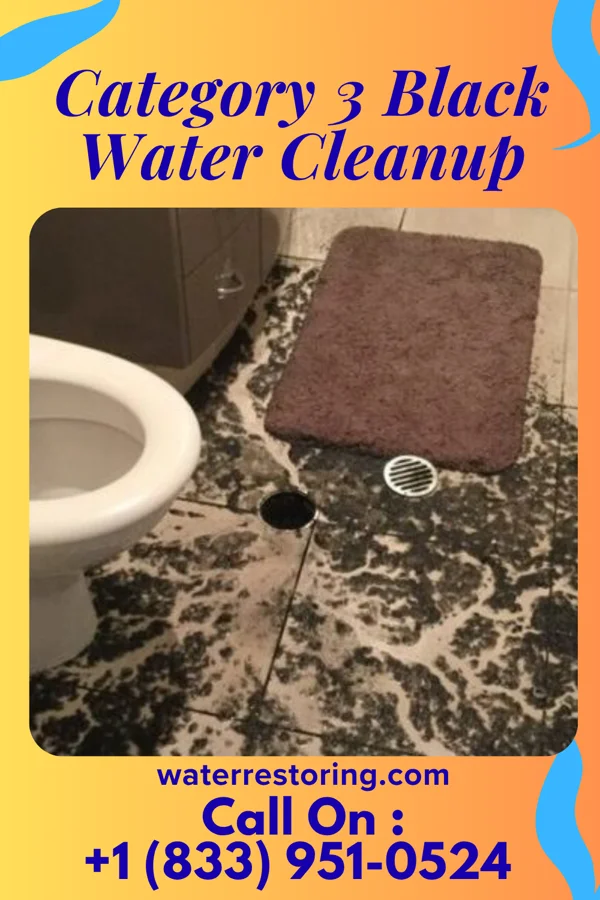 Category 3 Black Water Cleanup in Malverne, NY
