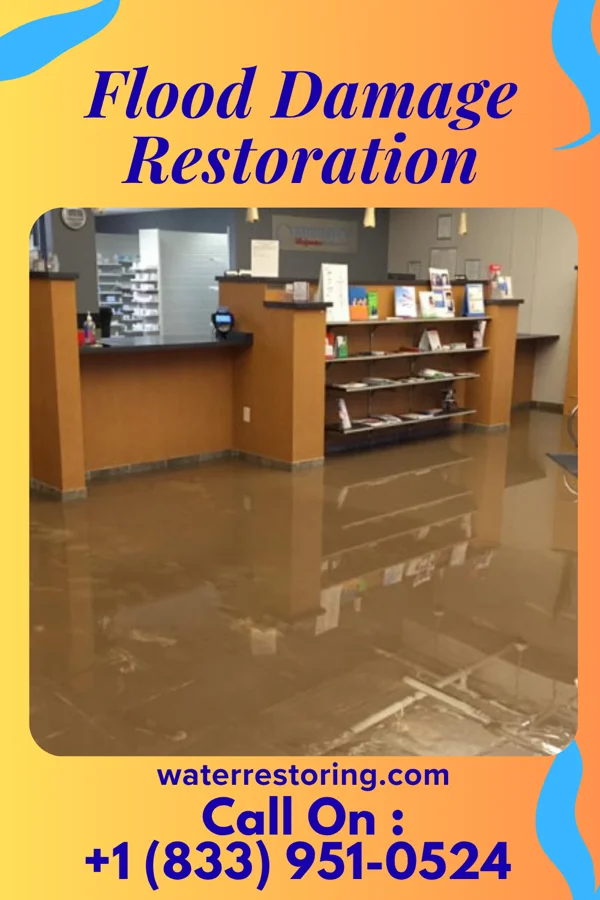 Flood Damage Restoration in Malverne, NY