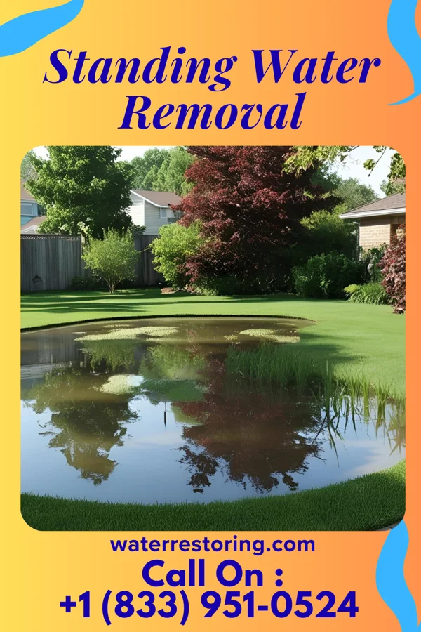 Standing Water Removal in Malverne, NY
